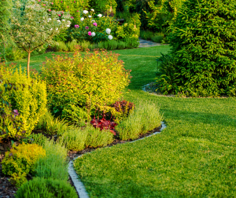 شركة لاندسكيب في العين  0521530122 اتصل بنا