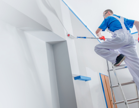 366 – Copy شركة صبغ